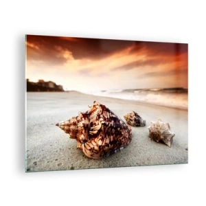 Quadro em vidro - Conchas na praia ao pôr do sol - 70x50cm - Expulso pelas ondas - Decoração de parede moderna para a sala de estar e quarto ARTTOR