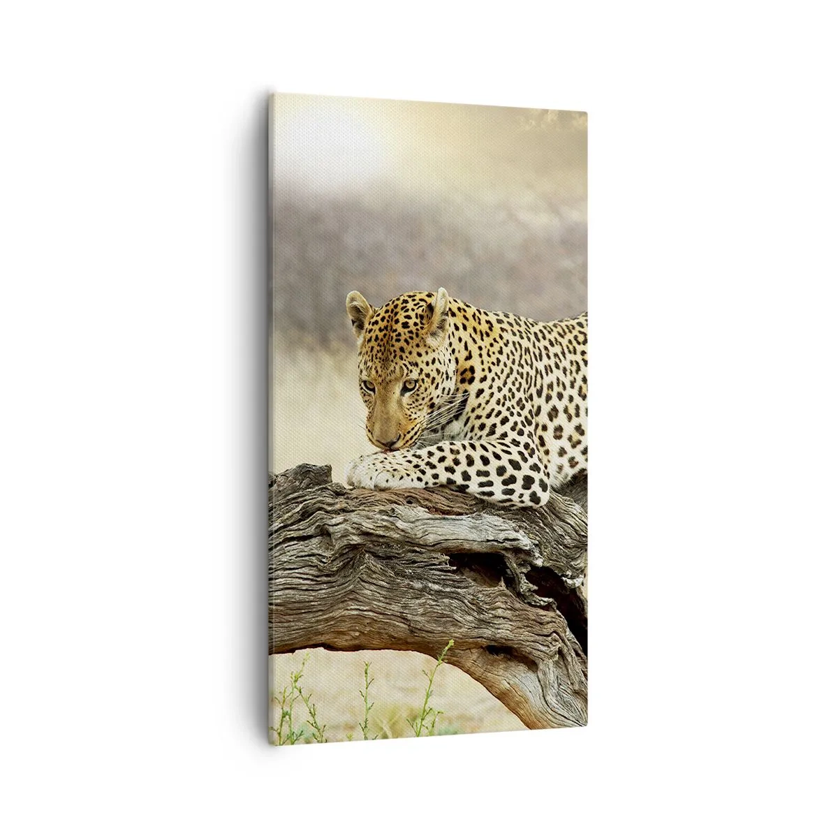 Quadro em tela - Eu sigo o meu próprio caminho - 55x100 cm