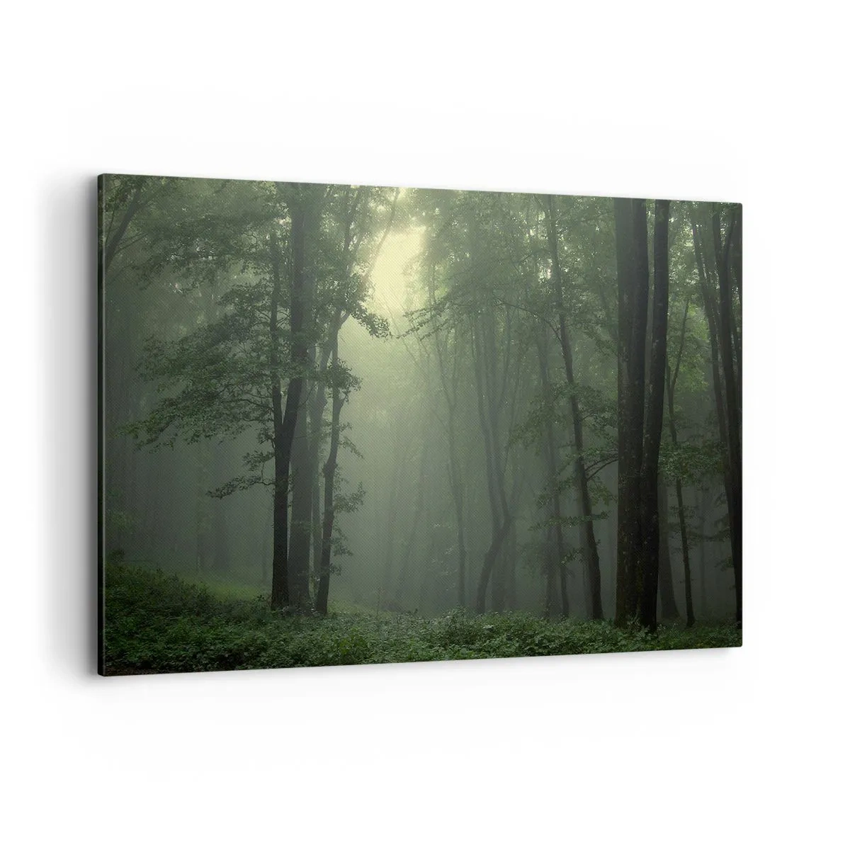 Quadro em tela - Antes de acordar - 120x80 cm