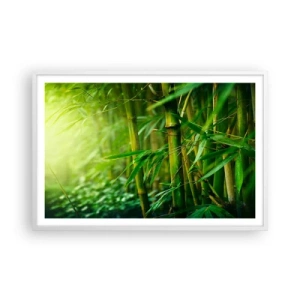 Pôster em moldura branca - Conheça a vegetação  - 91x61 cm