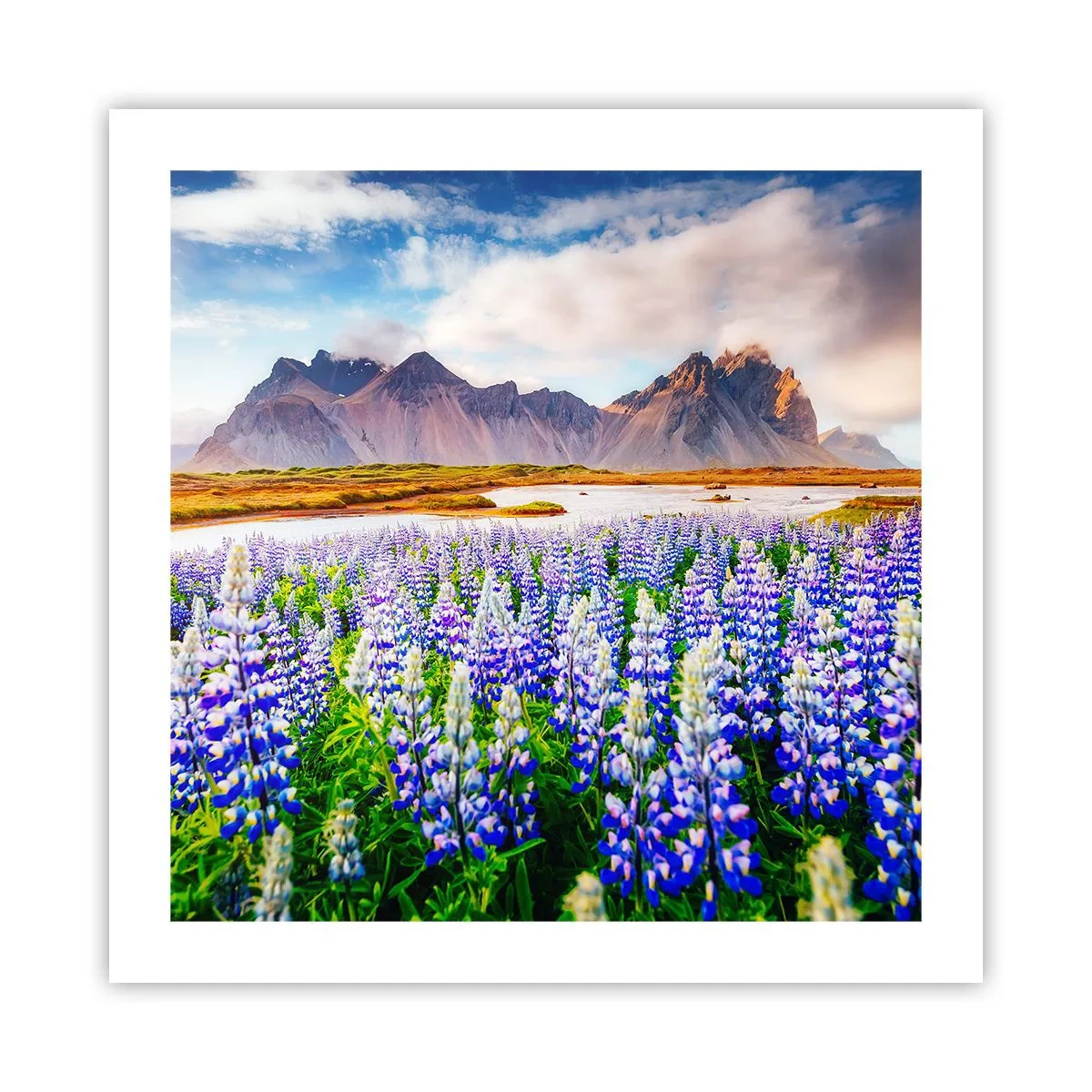 Pôster - Força e severidade ao lado da suavidade - 50x50 cm