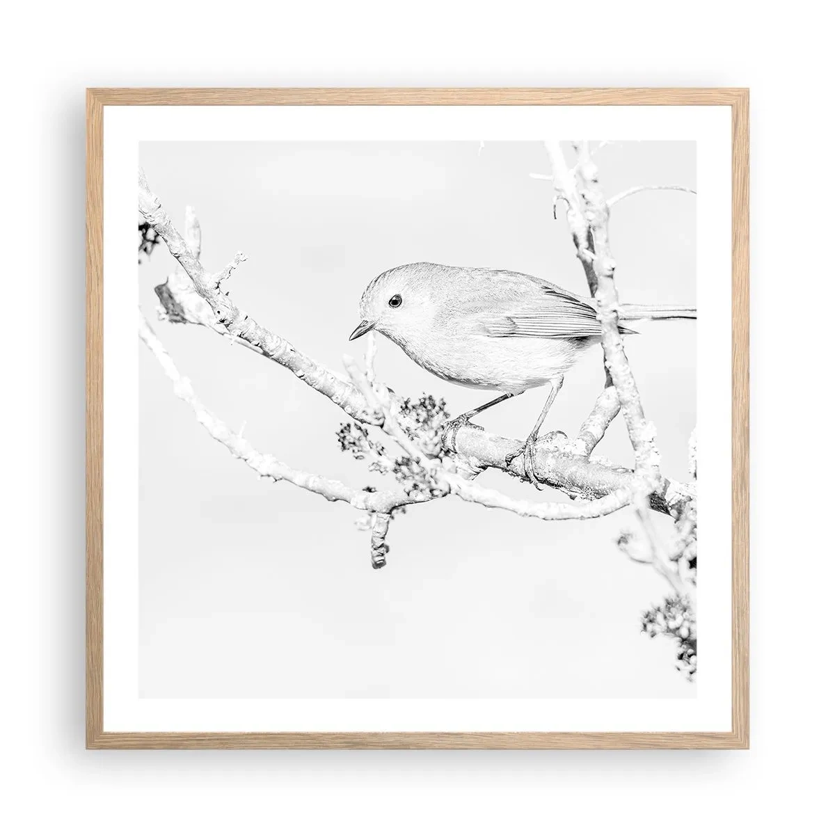 Pôster com moldura de carvalho claro - Manhã de inverno - 60x60 cm