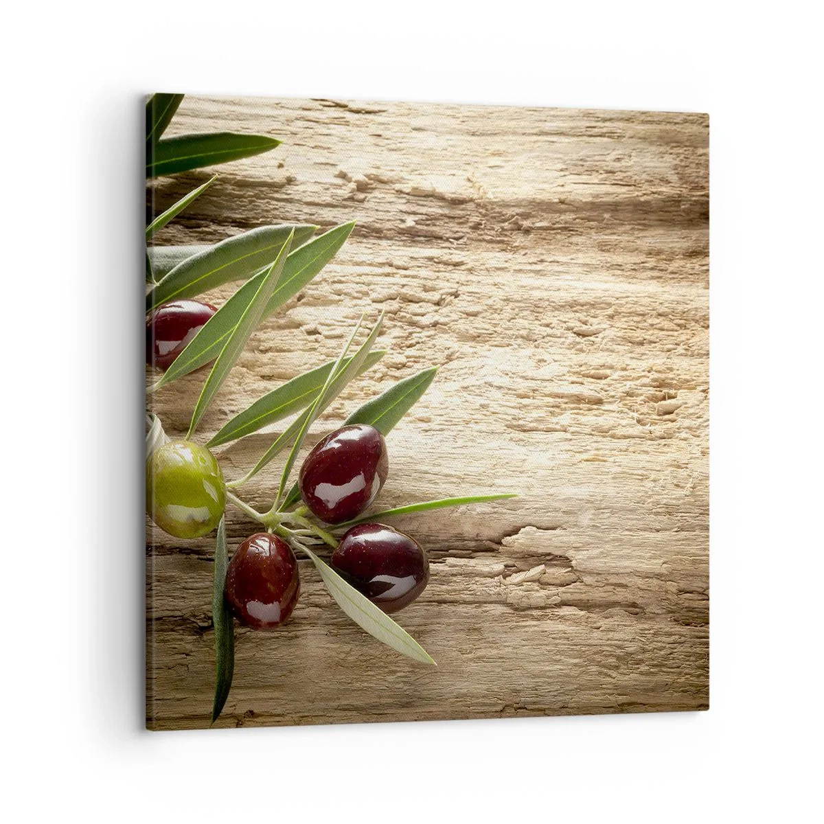 Quadro em tela - Direto da natureza - 50x50 cm