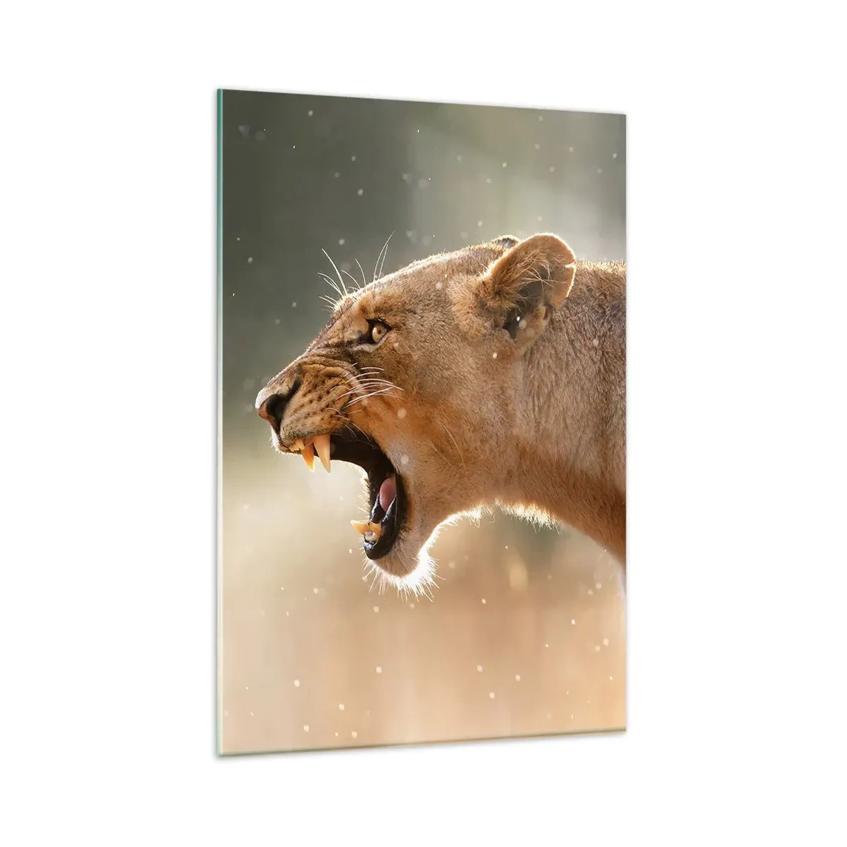 Quadro em vidro - Tente não ouvir - 80x120 cm