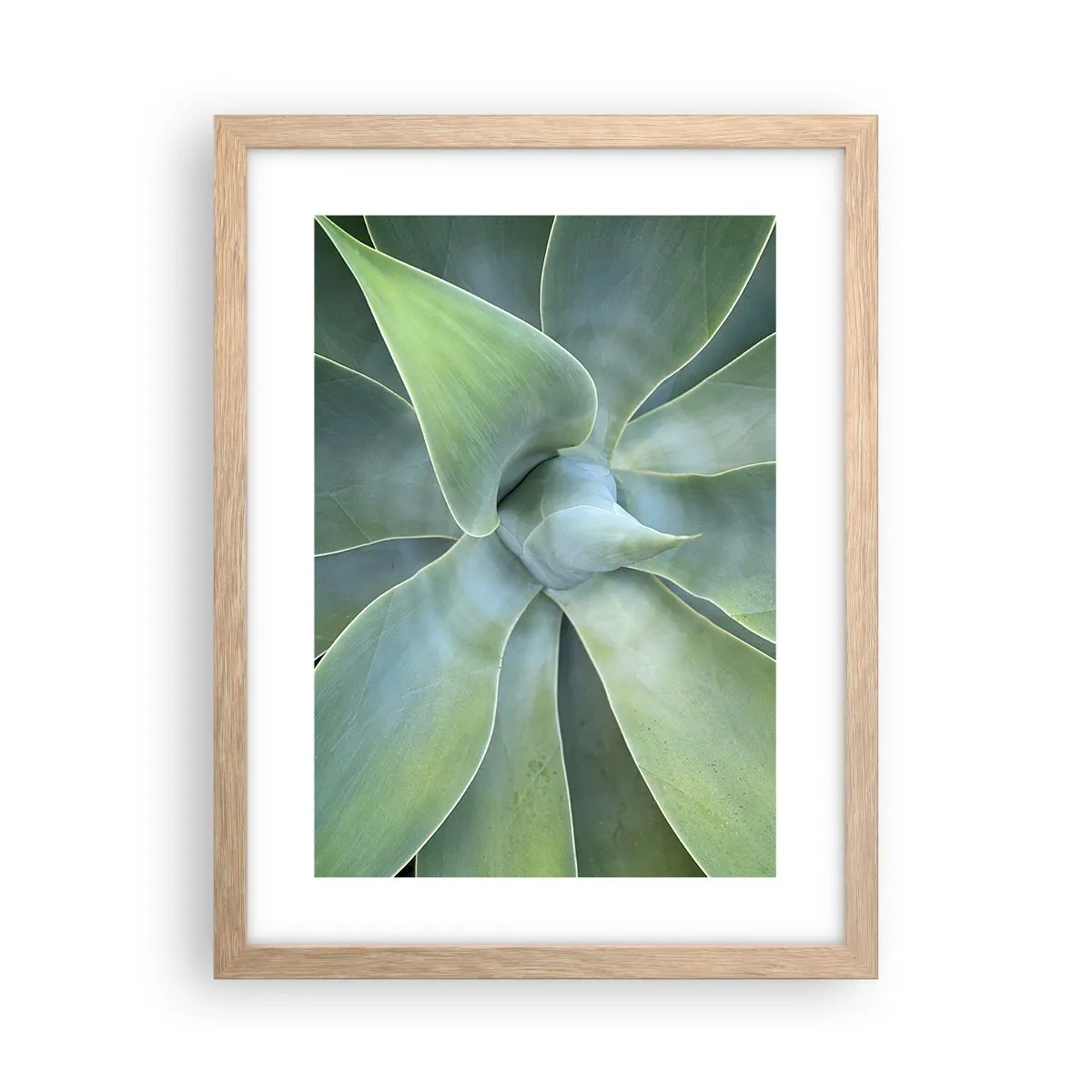 Pôster com moldura de carvalho claro - O nascimento da vegetação - 30x40 cm