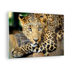 Quadro em vidro - Leopardo descansando sobre uma superfície de madeira - 70x50cm - Não tenha medo, venha - Decoração de parede moderna para a sala de estar e quarto ARTTOR
