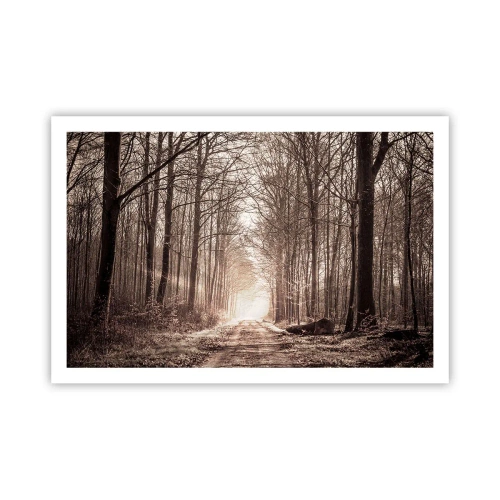 Pôster - Catedral na Floresta - 91x61 cm