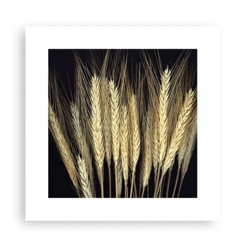 Pôster - Magia rústica - 30x30 cm