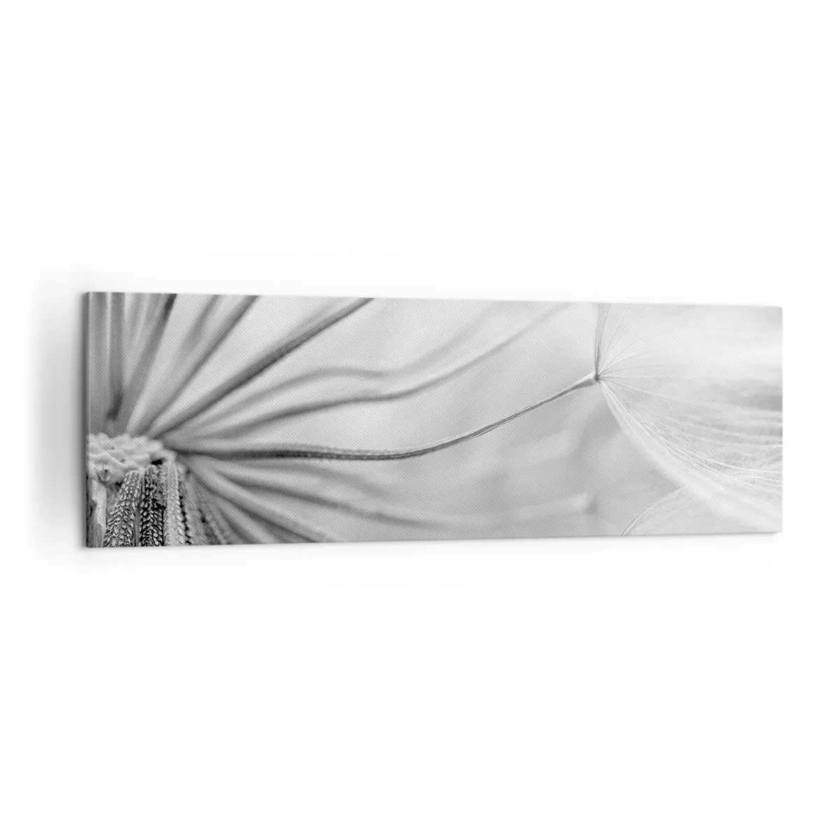 Quadro em tela - Dentes de leão, pipas - 160x50 cm