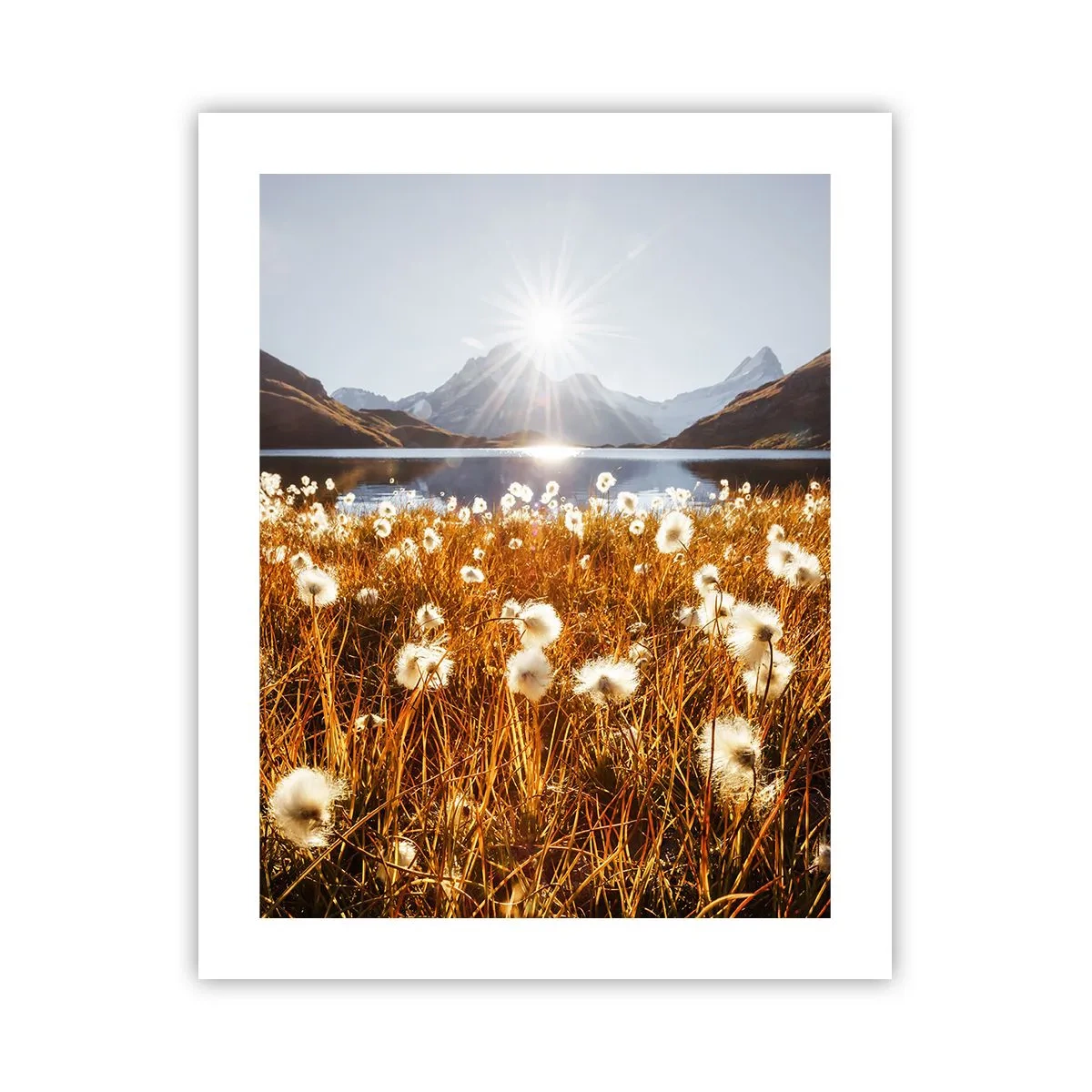 Pôster - Dureza da rocha, suavidade da relva - 40x50 cm