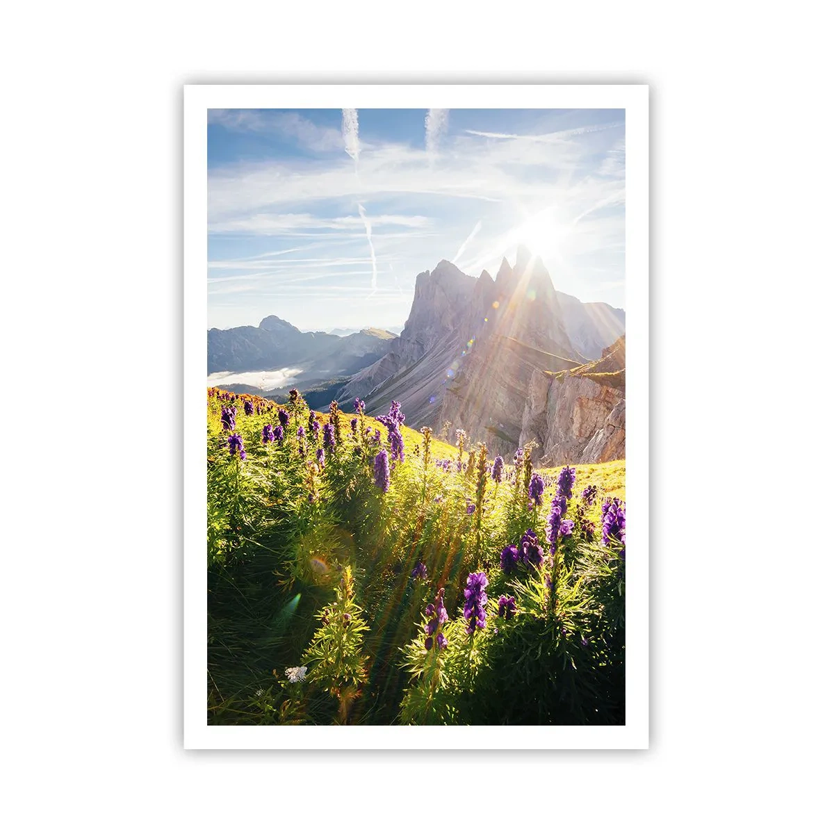 Pôster - A vida secreta das ervas - 70x100 cm