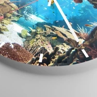 Mostrador com traços