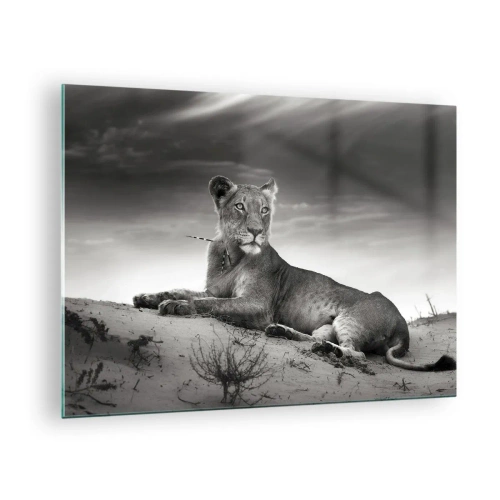 Quadro em vidro - Deixado no deserto em uma moldura preta e branca - 70x50cm - Descanso da Rainha do Deserto - Decoração de parede moderna para a sala de estar e quarto ARTTOR