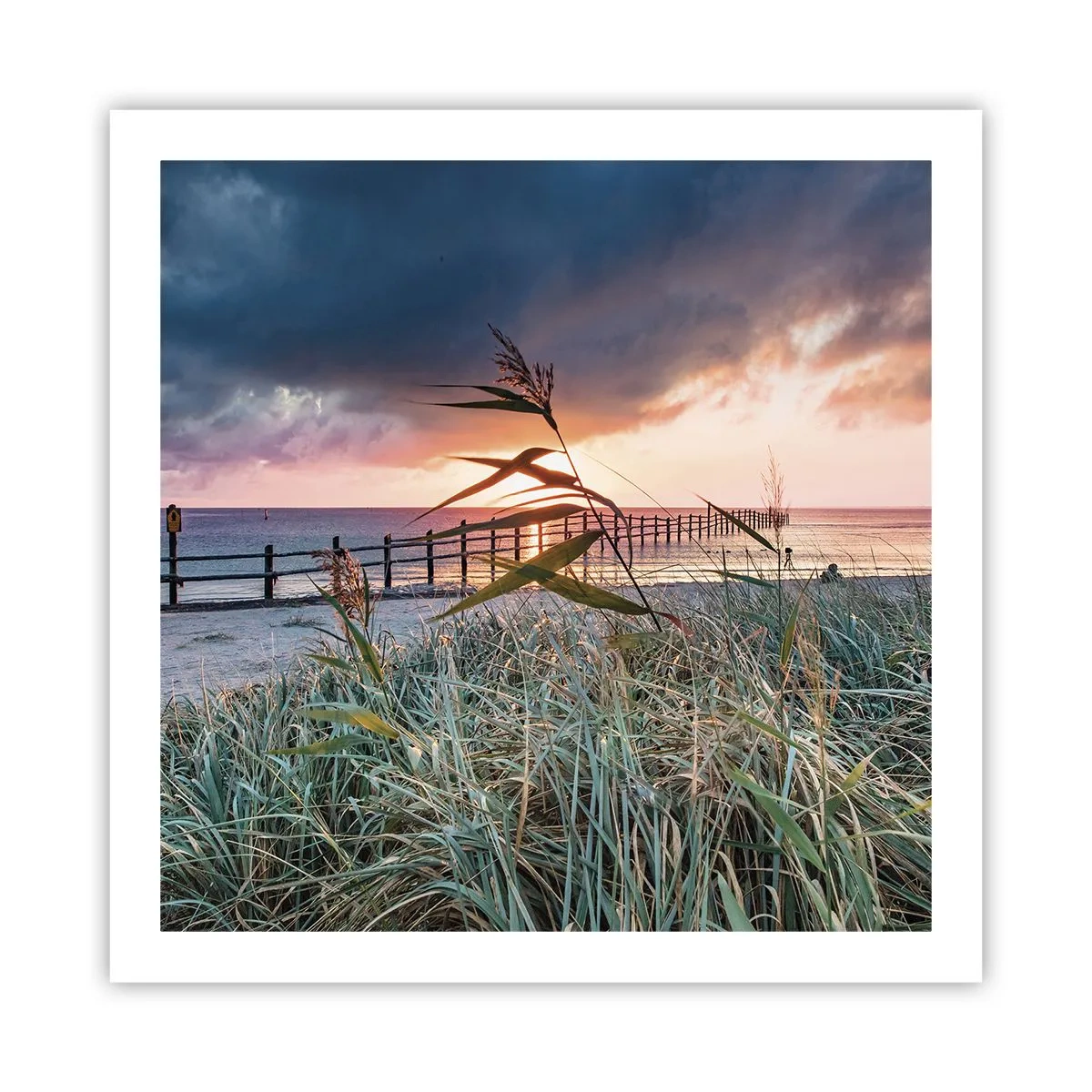 Pôster - O vento não leva - 60x60 cm