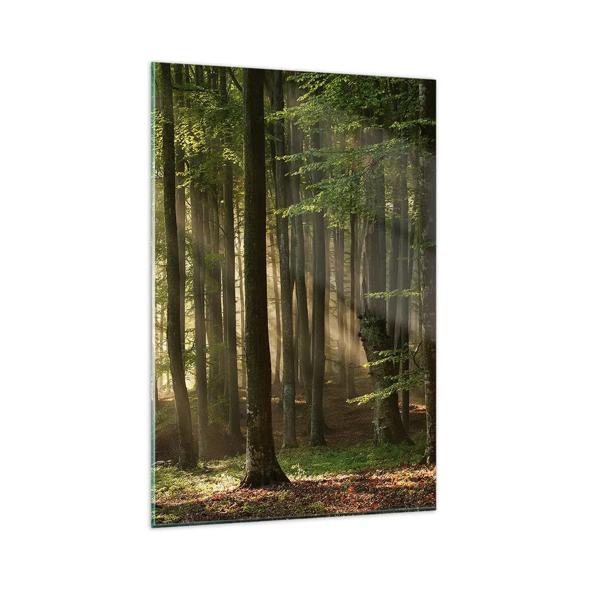 Quadro em vidro - Radiante em uma manhã de primavera - 80x120 cm