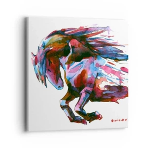 Quadro em tela - Em êxtase - 40x40 cm