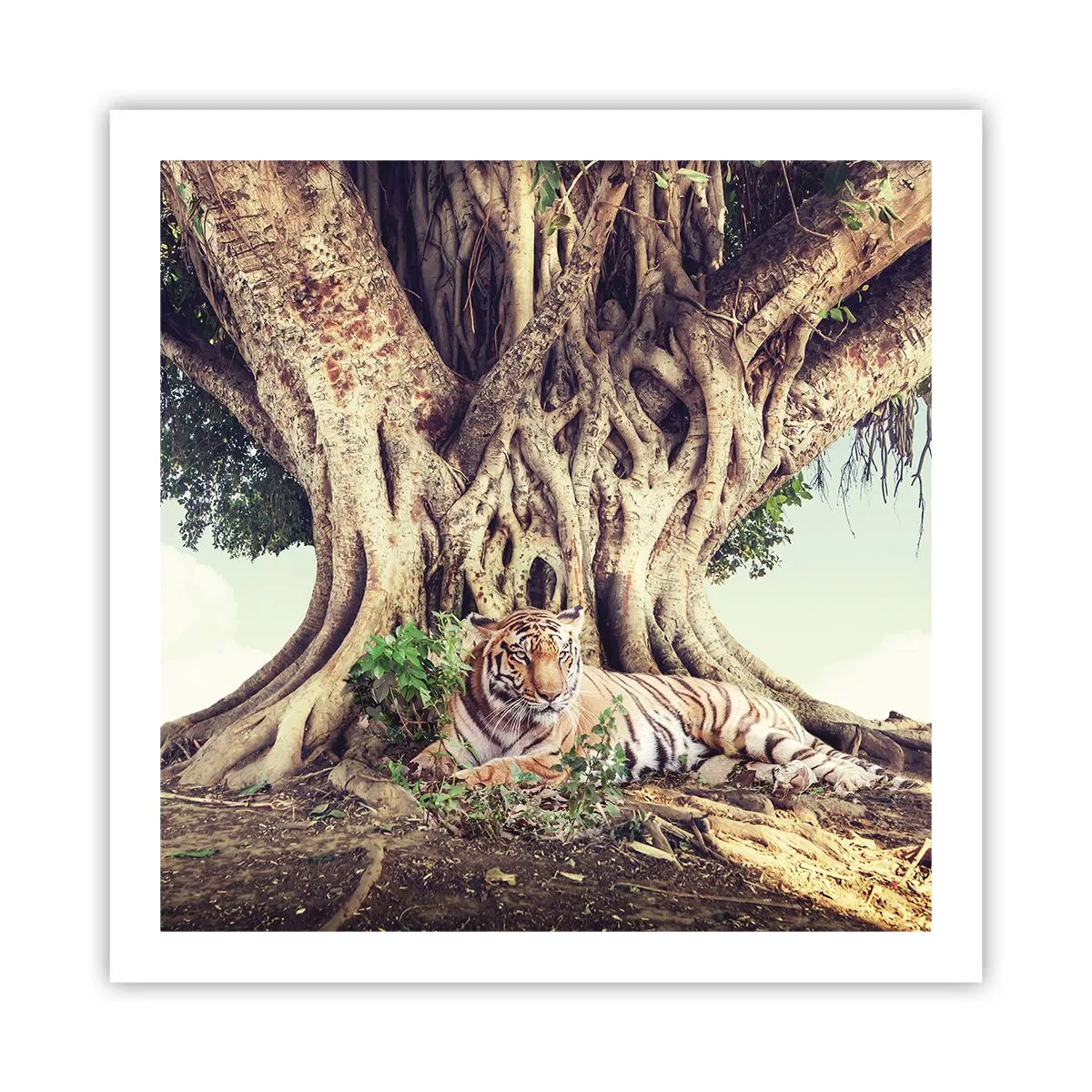 Pôster - Vista do livro de Gênesis - 60x60 cm