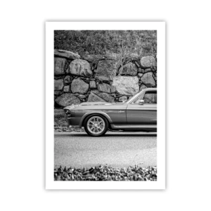 Pôster - Lenda dos anos 60 - 50x70 cm