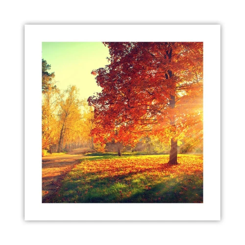 Pôster - O vermelho é lindo - 40x40 cm