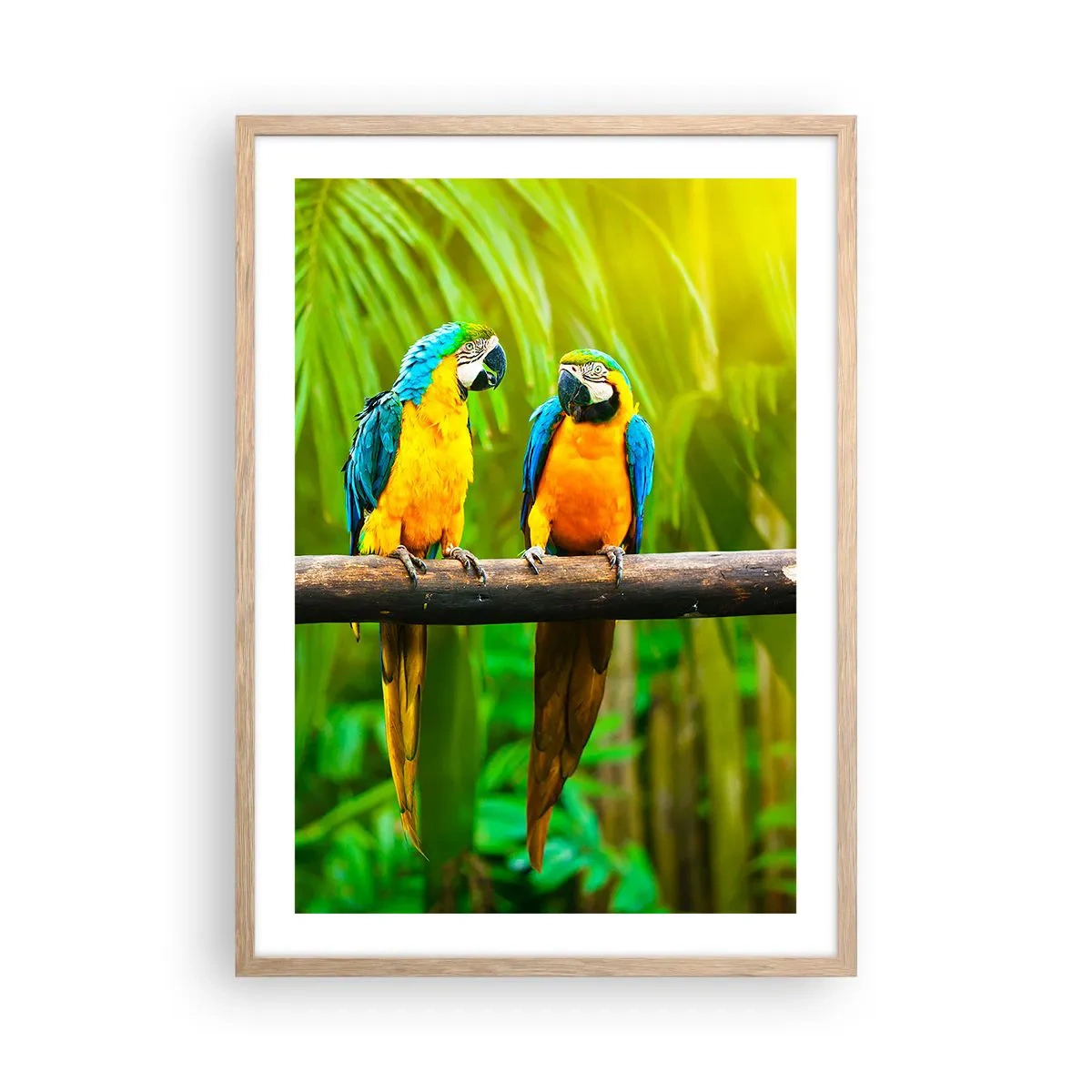 Pôster com moldura de carvalho claro - E ouviste dizer que ela...? - 50x70 cm