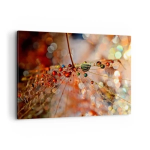 Quadro em tela - Enroscado numa teia de aranha - 100x70 cm