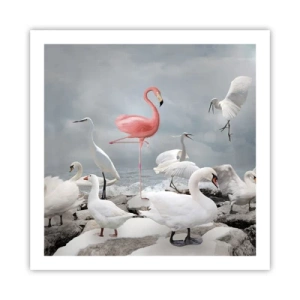 Pôster - Como vim parar aqui? - 60x60 cm