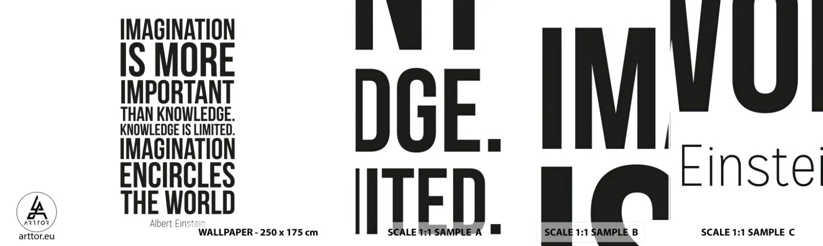 Amostra de Papel de Parede Standard Eco - Einstein sobre o poder da imaginação - Tipografia, Afirmação, Máxima - 100x30 cm