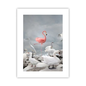 Pôster - Como vim parar aqui? - 30x40 cm