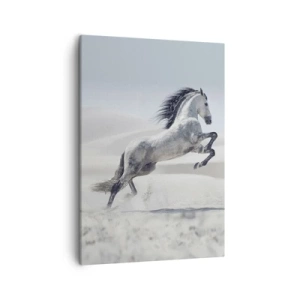 Quadro em tela - Príncipe árabe - 50x70 cm