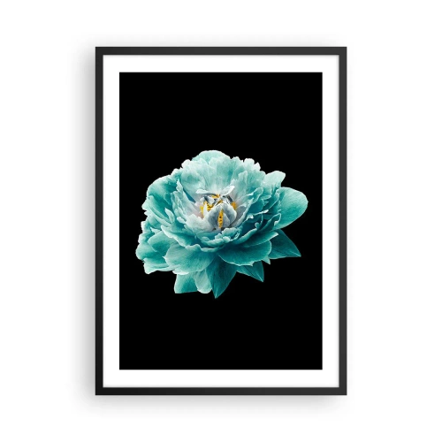Pôster com moldura preta - Flor turquesa com uma abelha em um fundo preto - 50x70cm - Pétalas azuis e douradas - Decoração de parede moderna para a sala de estar e quarto ARTTOR