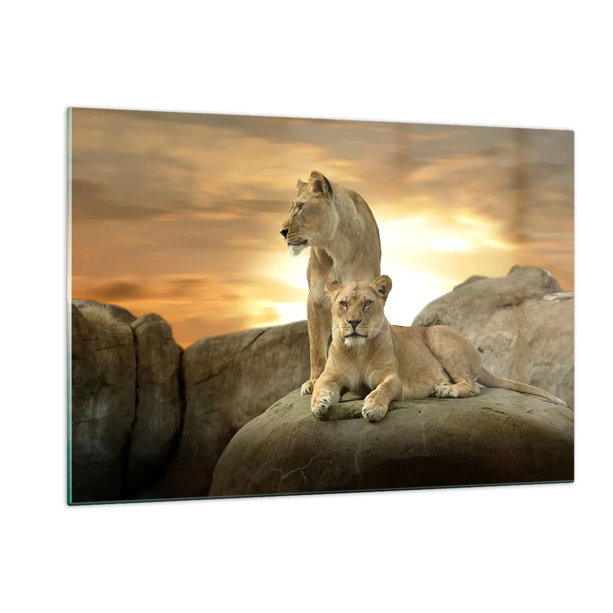 Quadro em vidro - Majestade real - 120x80 cm