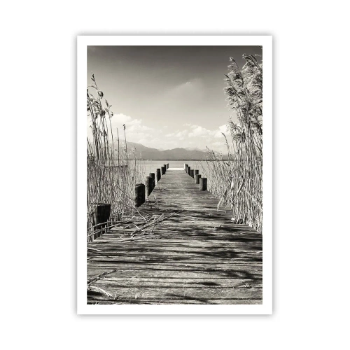 Pôster - No silêncio da relva - 70x100 cm