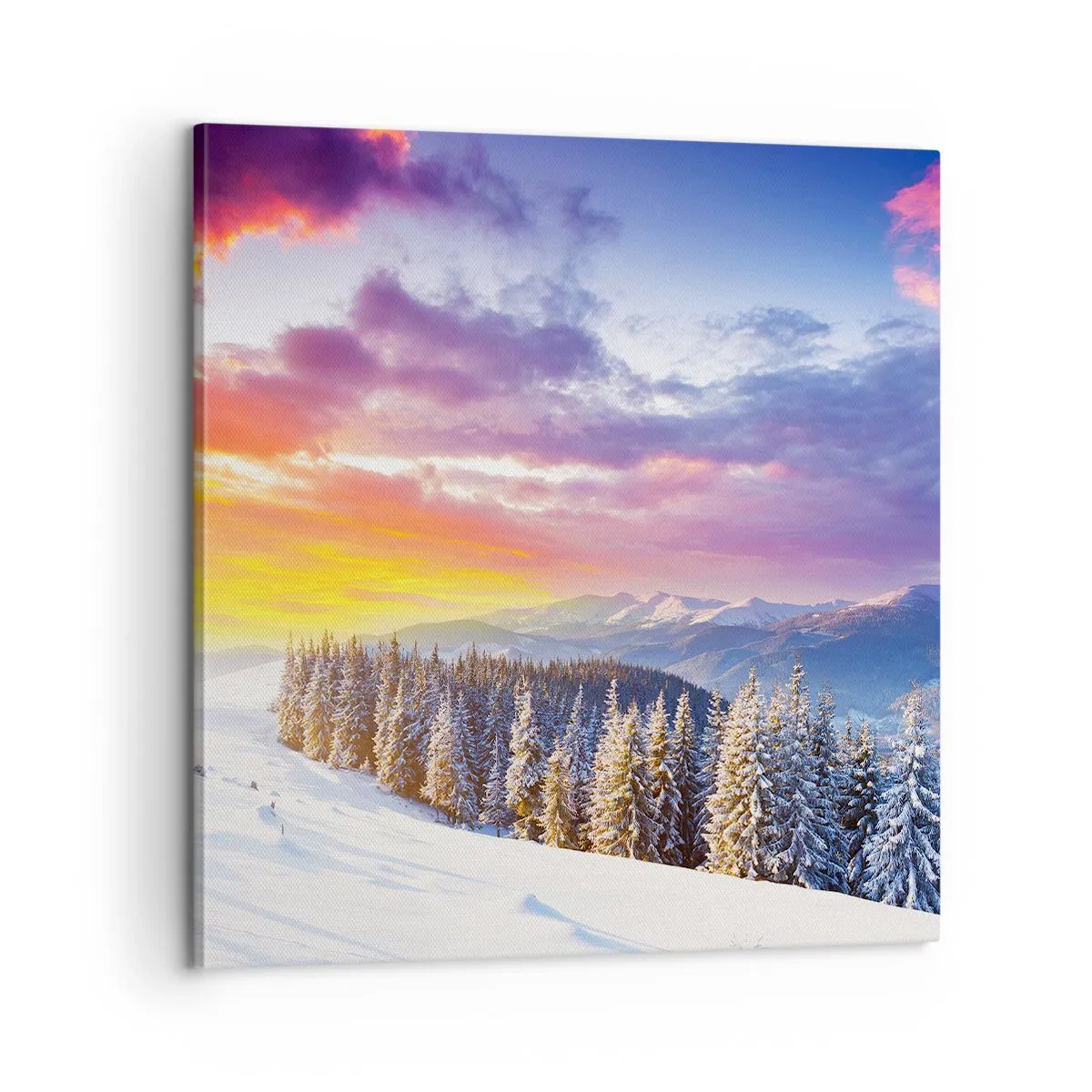 Quadro em tela - Em plena luz do dia - 60x60 cm