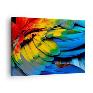 Quadro em tela - Um close das penas coloridas de um papagaio - 70x50cm - Ave do paraíso - Decoração de parede moderna para a sala de estar e quarto ARTTOR