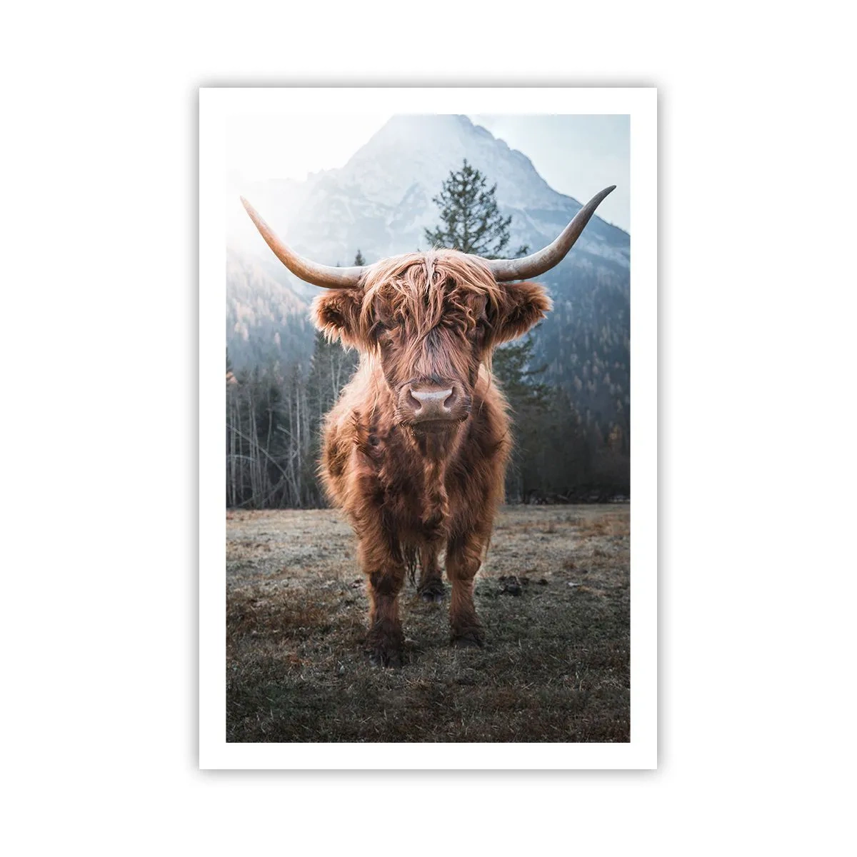 Pôster - Saudações do prado da montanha - 61x91 cm