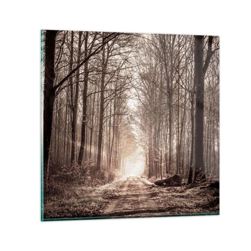 Quadro em vidro - Catedral na Floresta - 60x60 cm