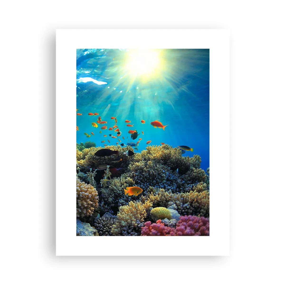 Pôster - Tesouros subaquáticos - 30x40 cm