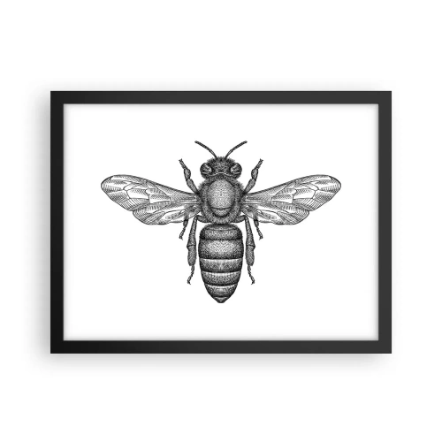 Pôster com moldura preta - Retrato de um inseto - 40x30 cm