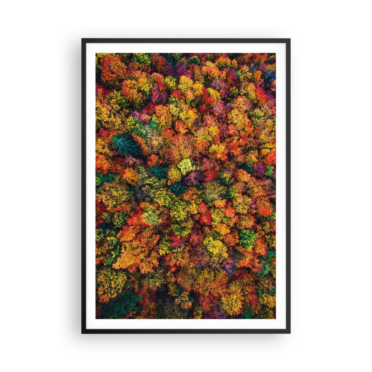Pôster com moldura preta - Bouquet de árvores de Outono - 70x100 cm