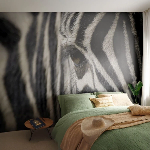 Papel de Parede Standard Eco - Retrato em listras - Animais, Costelas, África - 500x350 cm