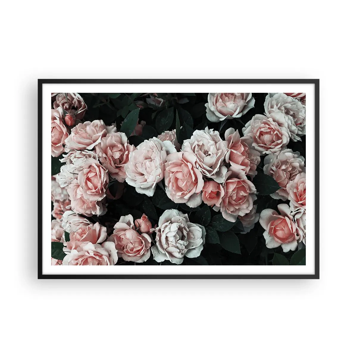 Pôster com moldura preta - Conjuntos de rosas - 100x70 cm
