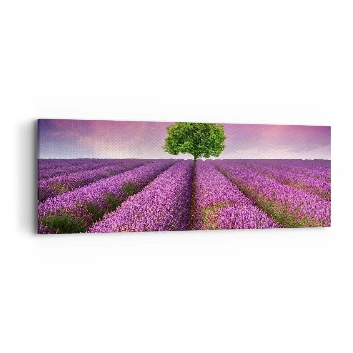 Quadro em tela - Nos campos de lavanda - 90x30 cm