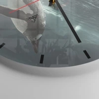 Mostrador com traços