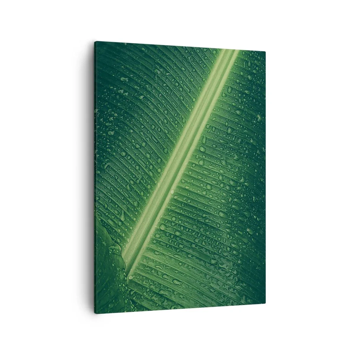 Quadro em tela - A estrutura da vegetação - 50x70 cm