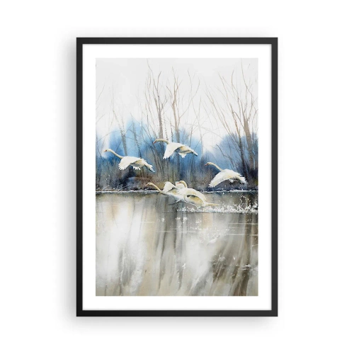 Pôster com moldura preta - Um bando de cisnes flutuando sobre a água em um estilo pictórico - 50x70cm - Como no conto de fadas sobre cisnes selvagens - Decoração de parede moderna para a sala de estar e quarto ARTTOR