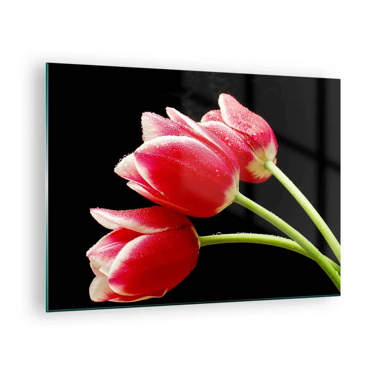 Quadro em vidro - Tulipas vermelhas com gotas de orvalho em um fundo preto - 70x50cm - A promessa do amor puro - Decoração de parede moderna para a sala de estar e quarto ARTTOR