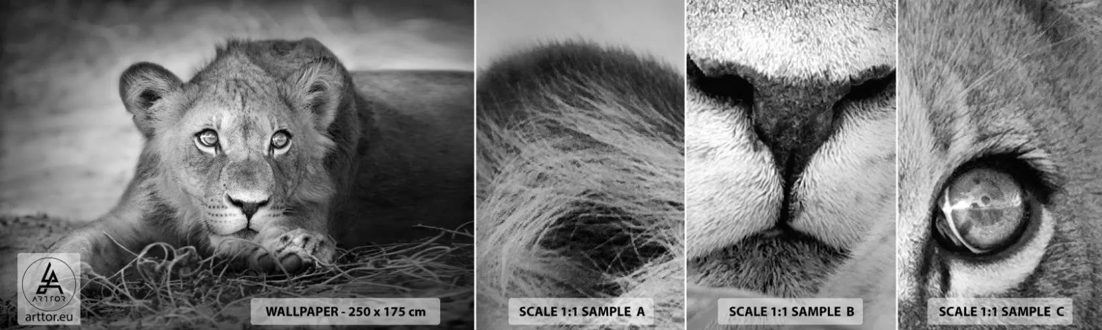 Amostra de papel de parede autocolante Deluxe Sticker - Cachorro real - Animais, Leão, Preto e branco - 100x30 cm