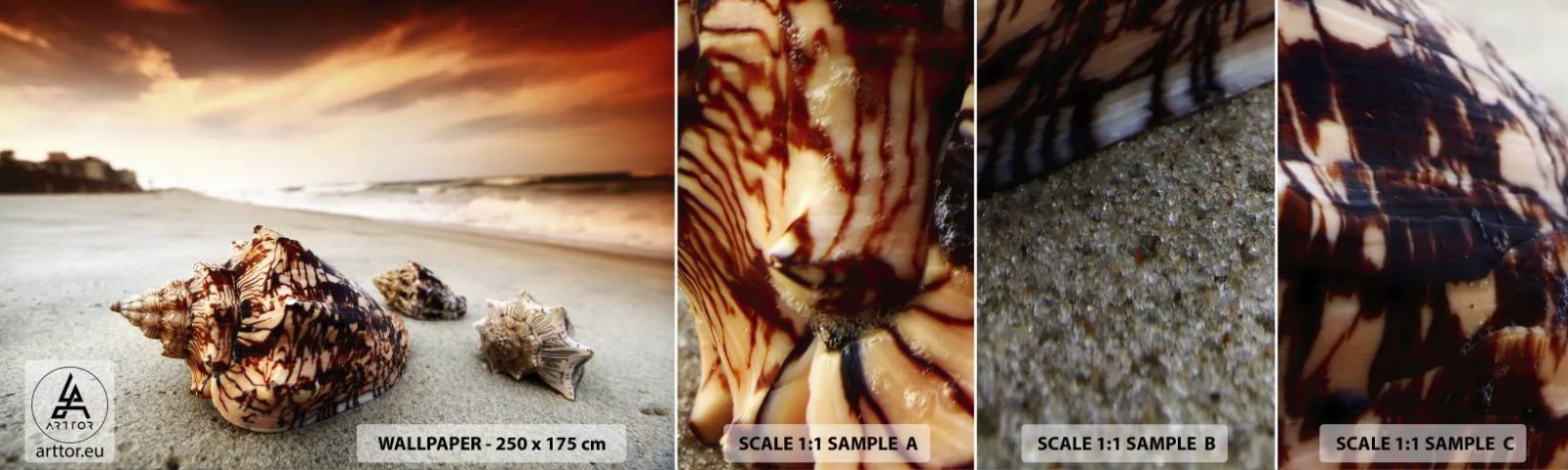 Amostra de Papel de Parede Standard Eco - Expulso pelas ondas - Paisagem, Mar, Concha do mar - 100x30 cm