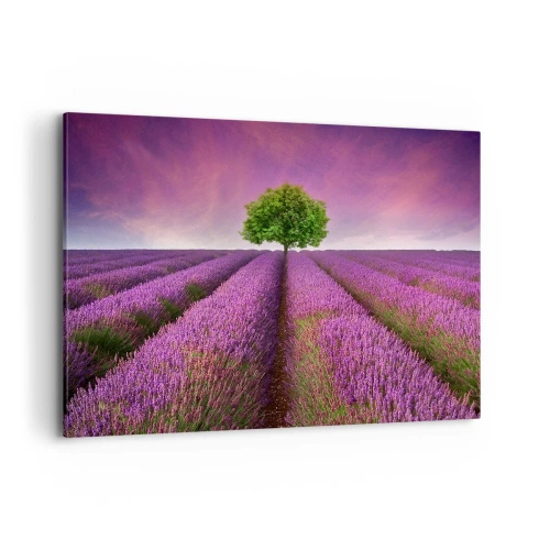 Quadro em tela - Nos campos de lavanda - 120x80 cm