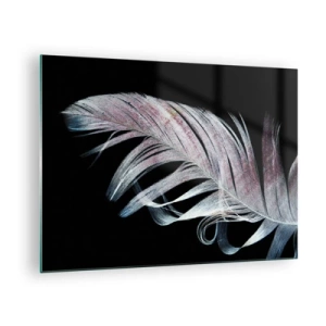 Quadro em vidro - Uma pena delicada sobre um fundo preto numa abordagem artística - 70x50cm - Pense no toque - Decoração de parede moderna para a sala de estar e quarto ARTTOR